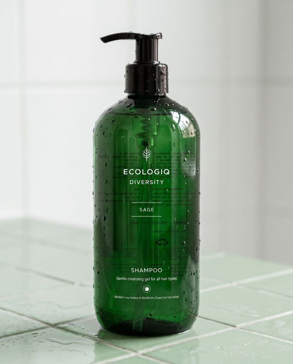 Shampoo 500 ml