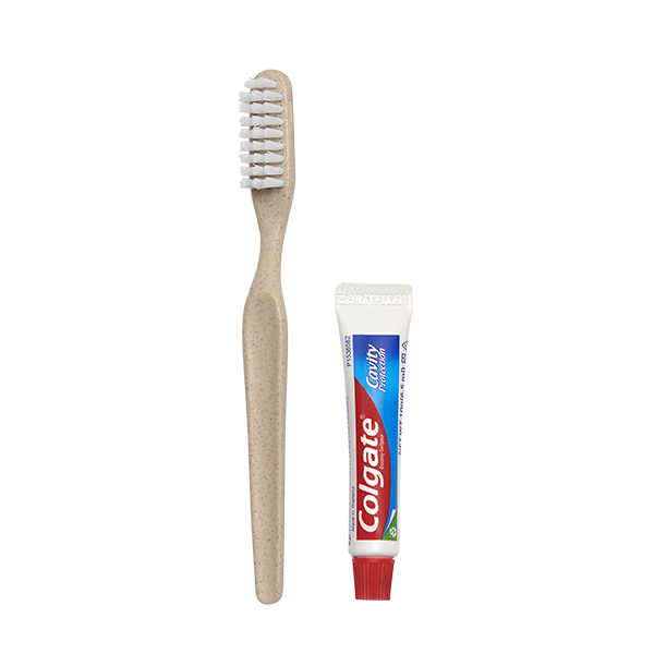Dental Kit