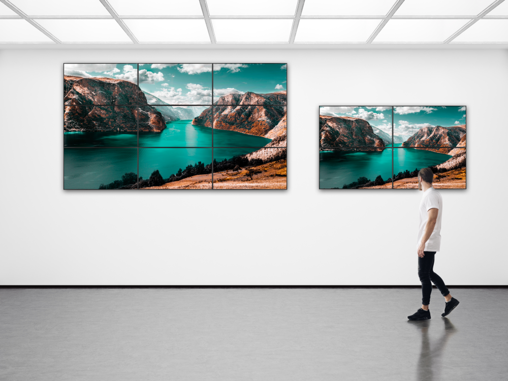 DISCOVER 2 Professional Display 65"