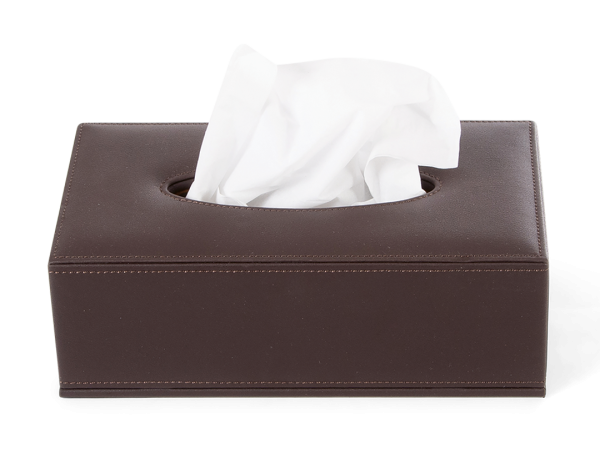 Kaba Tissue Box