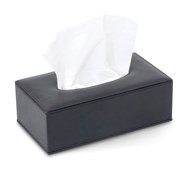Kaba Tissue Box